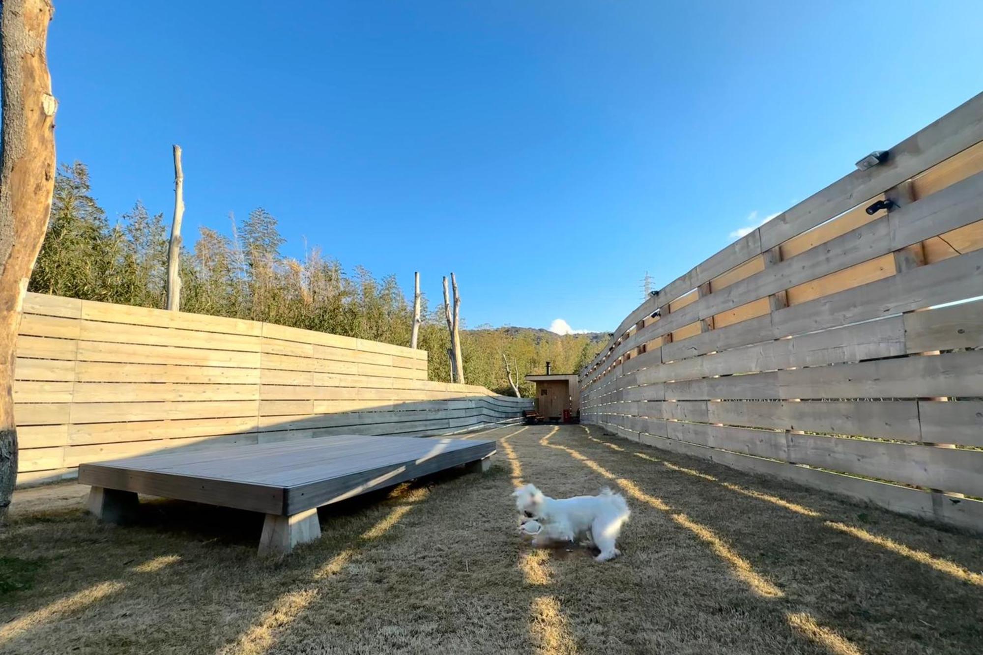 サウナとドッグラン付きのアンティーク古民家宿 Akiya Cornerstone Awaji Esterno foto